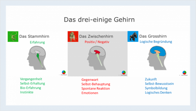 Die Grundstrukturen: Grün, Rot, Blau