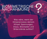 Biomimetrische Nachahmung