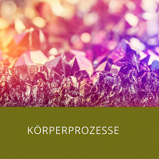 Körperprozesse