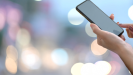 Wichtige Informationen zur Nutzung des Programms