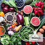 Modul 1: Mit Ernährung die Balance finden