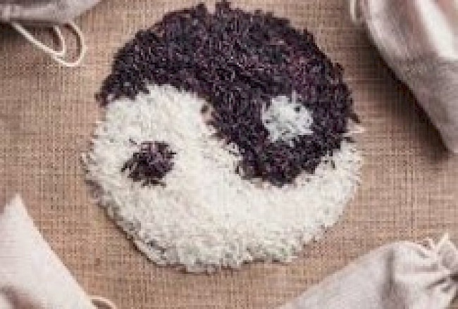 Video 1: Grundlagen und Grundbegriffe der TCM