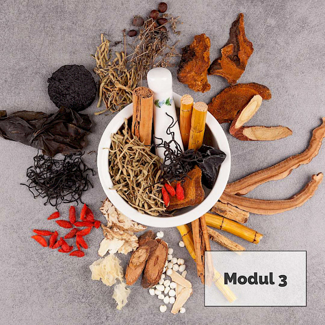 Video 2: Yin und Yang in Balance