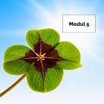 Modul 5: Vom Mangel zur Fülle