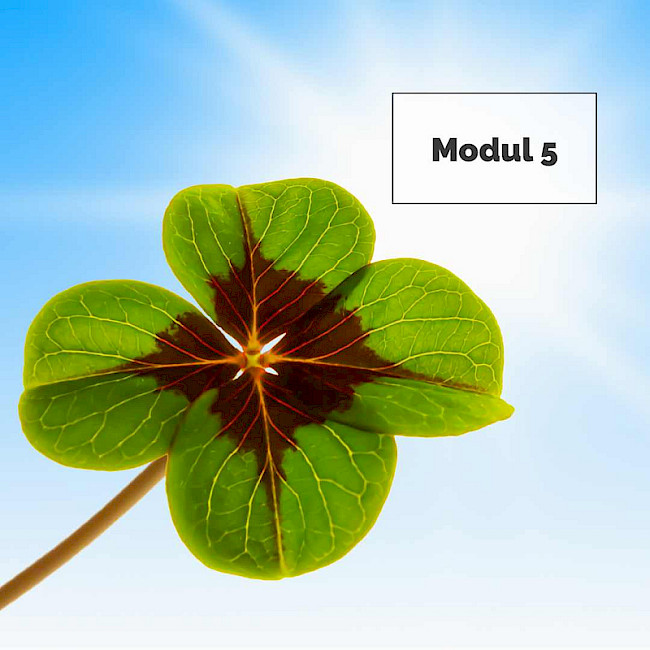 Video 2: Das Jing - unsere Essenz