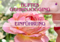 Einführung Riechtraining