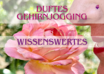 Wobei kann Riechtraining helfen?