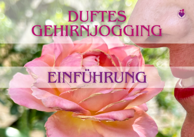Einführung Riechtraining