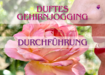 Durchführung Riechtraining