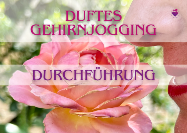 Durchführung Riechtraing