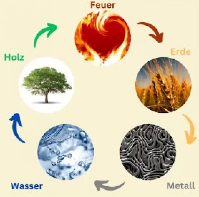 Video 4: Der Fütterungszyklus