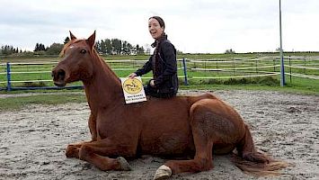 Freie Bodenarbeit und Zirzensik