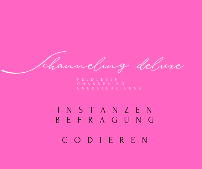 Instanzen Befragung | Codierung nochmal erklärt