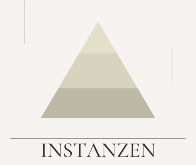 Instanzen Befragung