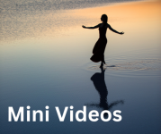 Mini Videos (zusätzliche Erklärungen)