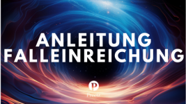 Anleitung und Beispiele für die Falleinreichung