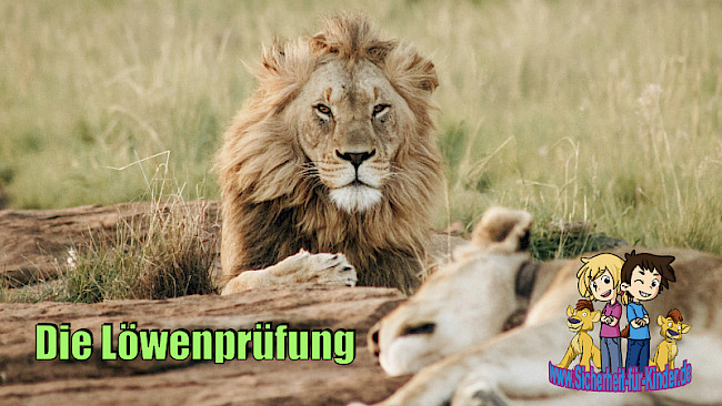 Löwenprüfung