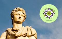 Online Übungen auf Lernplattformen