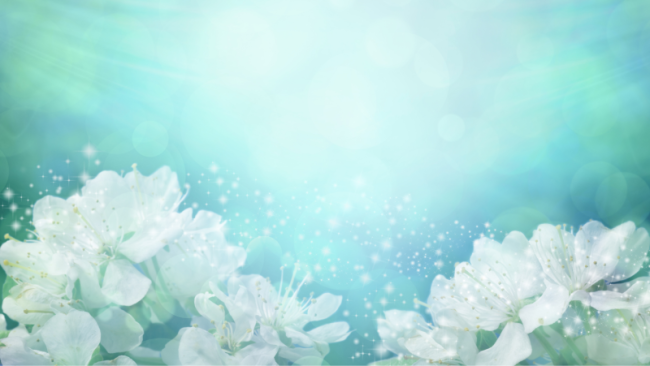 Die Stufen des Reiki