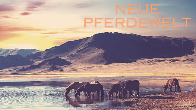 Neue Pferdewelt