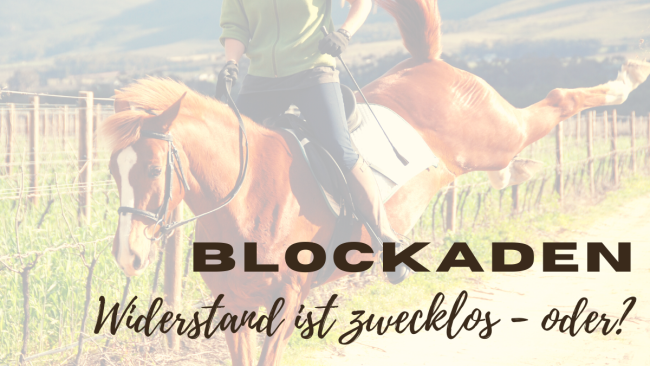 Blockaden - Widerstand ist zwecklos. Oder?