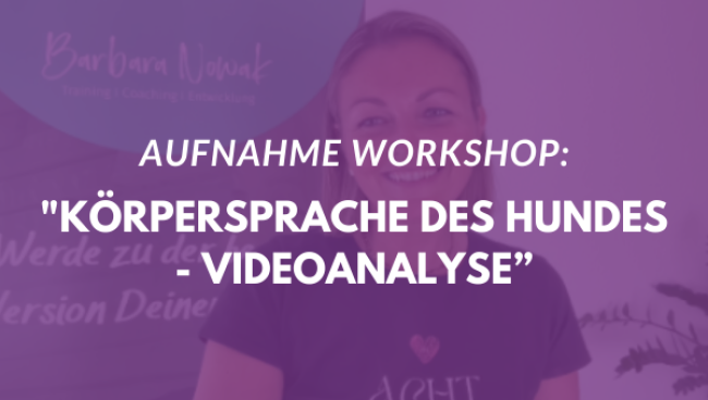 Körpersprache des Hundes - Videoanalyse