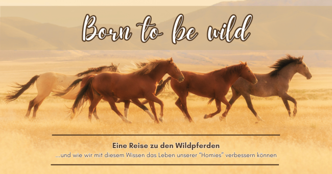 Born to be wild