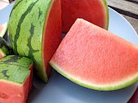 Frage-Antwortvideos (Q+A)