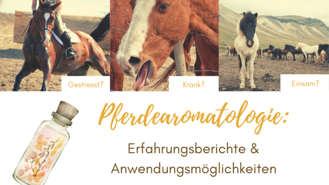 Pferdearomatologie: Erfahrungsberichte & Anwendungsmöglichkeiten (mit Regina Hoffmann)