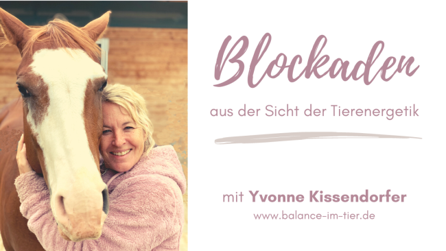 Blockaden aus der Sicht der Tierenergetik (mit Yvonne Kissendorfer)