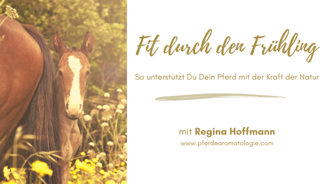 Fit durch den Frühling (mit Regina Hoffmann)