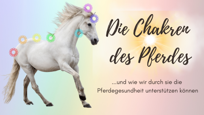 Die Chakren des Pferdes