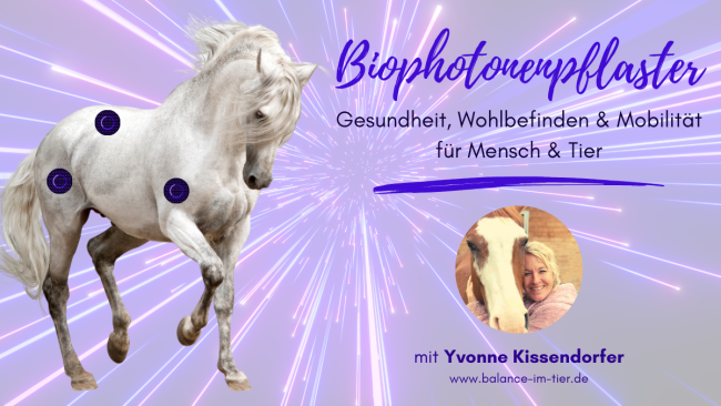 Biophotonenpflaster (mit Yvonne Kissendorfer)