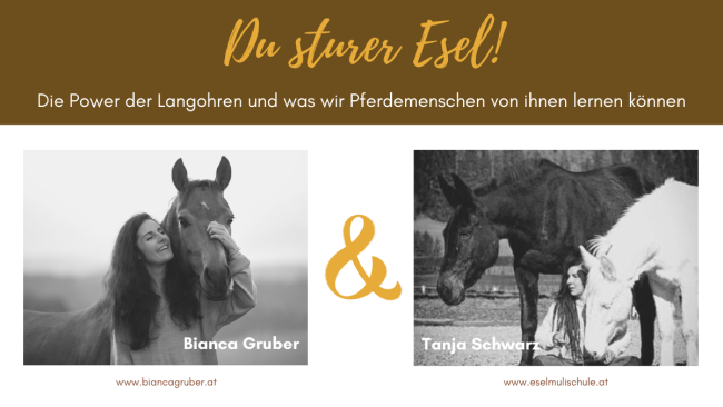 Du sturer Esel! (mit Tanja Schwarz)