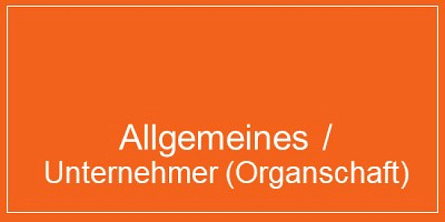 Teil 1: Allgemeines/Unternehmer (Organschaft)