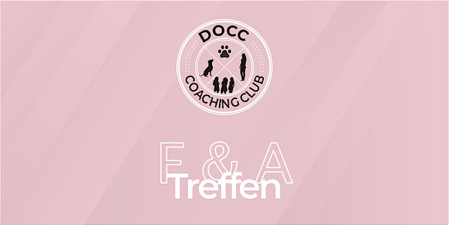 Zoom-Link und Termine