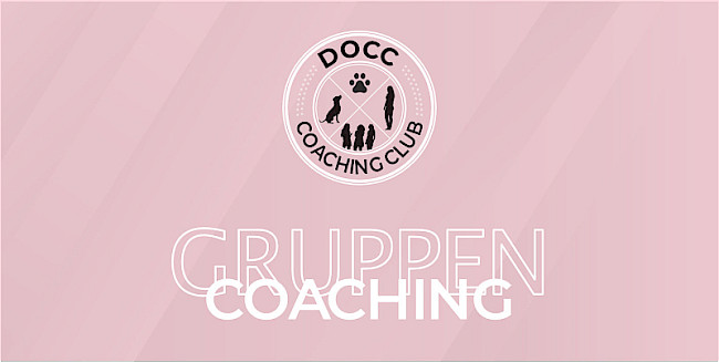 Gruppencoaching