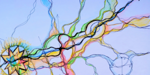 Session 4/Supervision