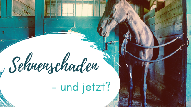 Sehnenschaden - und jetzt?