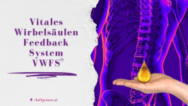 Einführung in das vitale Wirbelsäulen - Feedback - System