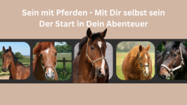 SEIN mit Pferden - mit Dir selbst SEIN: Warm-up