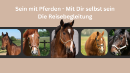 Deine Reisebegleitung - Deine 6 Wochen Masterclass