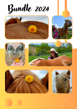 Pferdepaket Bundle