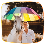 Sabine Spandl "Pferdeaufstellungen: Emotionale Tiefen ergründen"