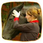 Gillian Nickel "der MUT-mach-Kurs"