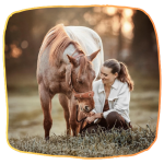 Die Pferdeflüsterei "Pferde verstehen"