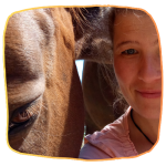 Julia Friedrich "Fernsitzungen"