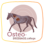 Osteo Dressage Möller & Weingand "Die Planke"