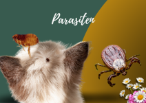 Parasiten