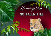 Homöopathische Notfallmittel